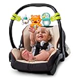 Bright Starts Take Along Musical Carrier Baby Activity Toy Bar, Hanging Car Seat Toy, 4 Fun Melodies, Fine Motor Skill Development Ages Newborn +, Multi-Color