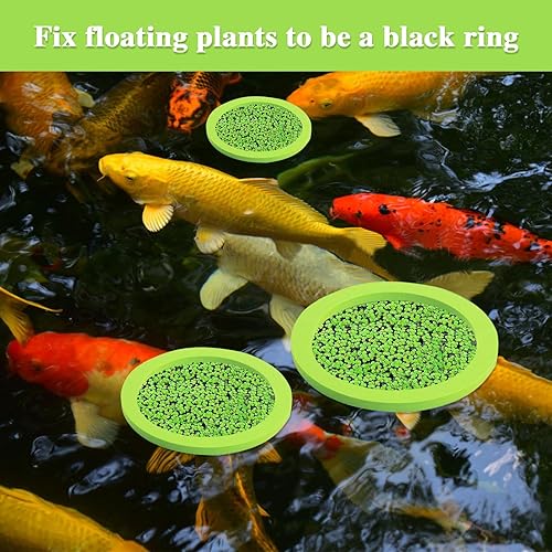 Miniatura 2 de Acuario planta flotante Corral, anillo de alimentación de peces, anillo de planta flotante, filtro de espuma de aislamiento de lenteja de agua