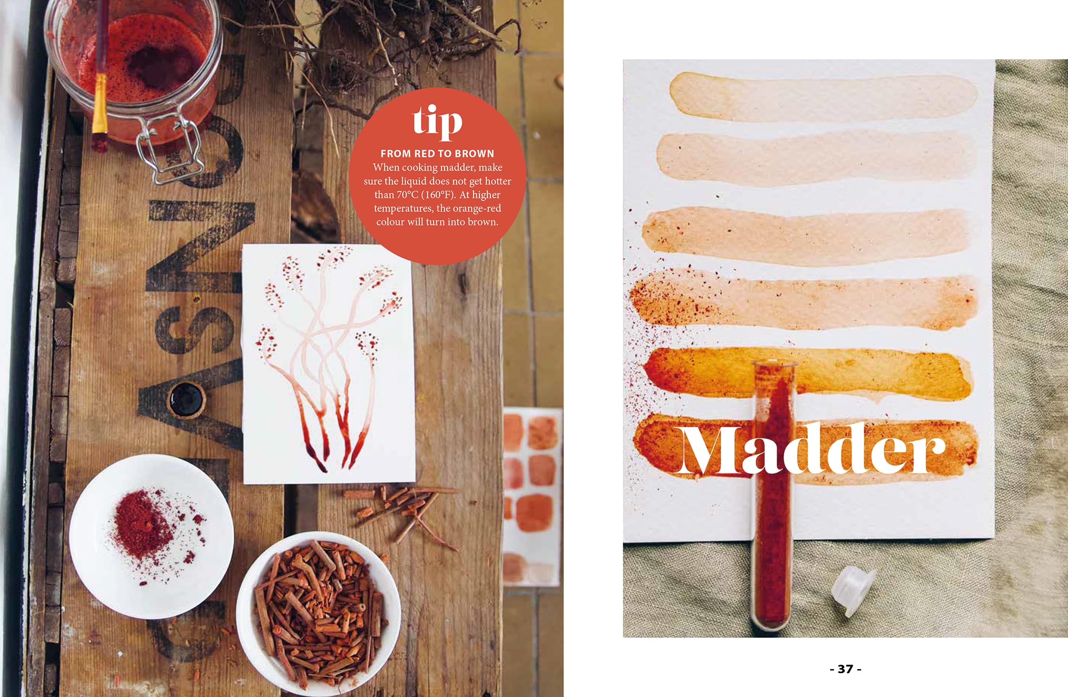 Plant and Ink: Make Your Own Plant-Based Ink