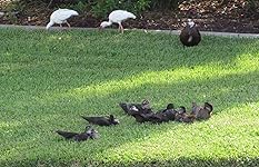 Review Image by Bob C Bob C