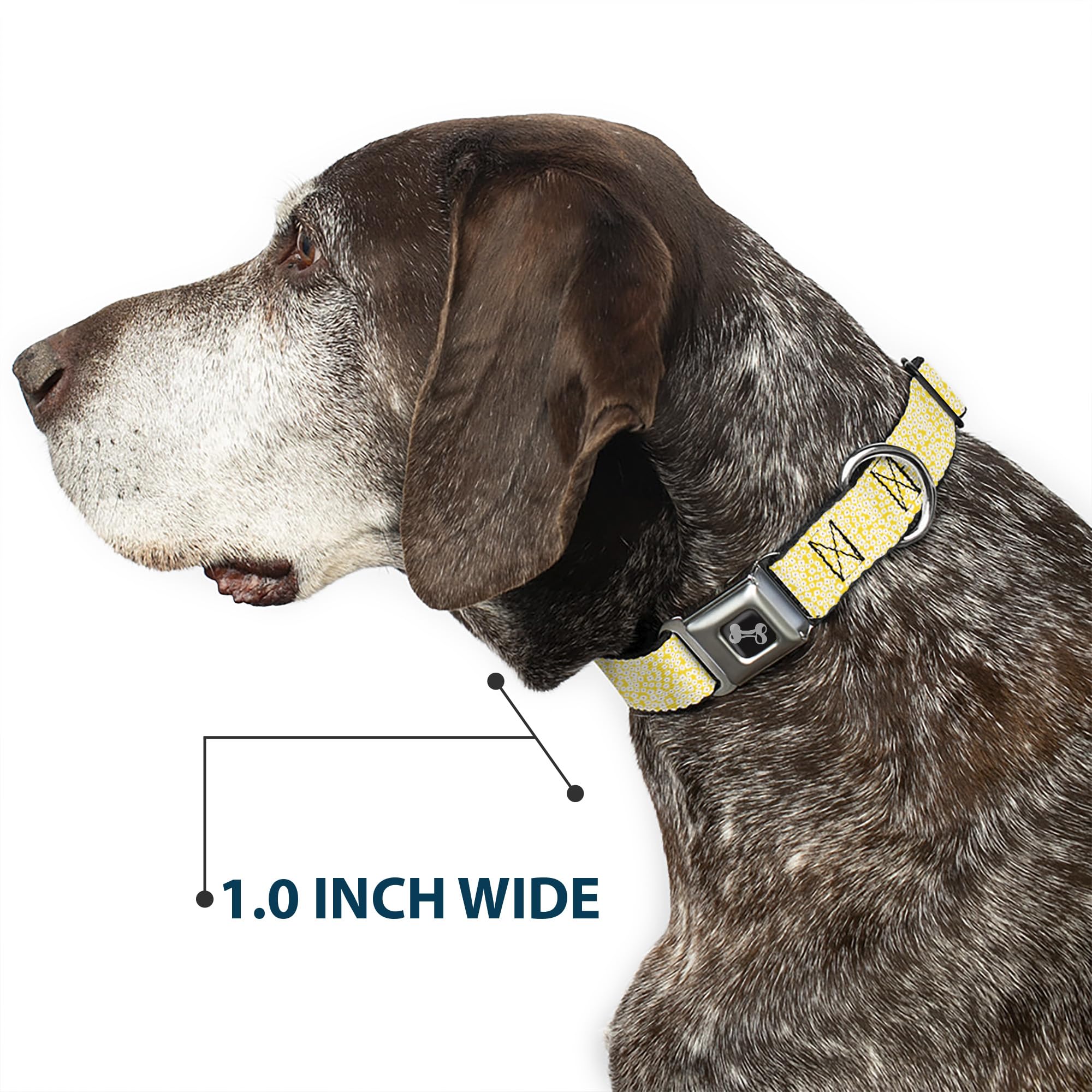 Buckle-Down DC-W33007-WS - Cinturón de Seguridad para Perro, tamaño pequeño, diseño Floral, Color Amarillo, Blanco y marrón