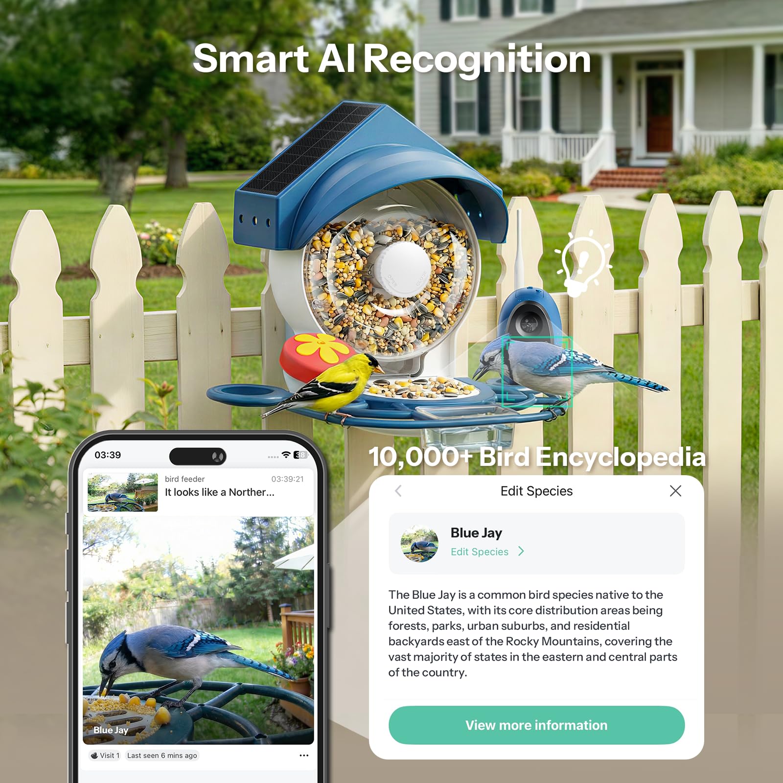 Smart Bird Feeder mit Kamera – 2K HD Smart Bird Feeder, solarbetriebenes Vogelhaus für den Außenbereich mit leicht zu reinigendem Design für Hinterhofvogel & Wildtier-Vogelbeobachtung