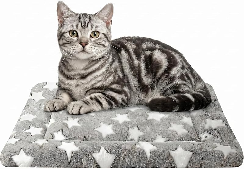 Cama para Gatos e Cães com Tapete Reversível, Pelúcia Macia e Tecido Respirável DTKIUSDKR – 60,96 x 45,72 x 3,81 cm