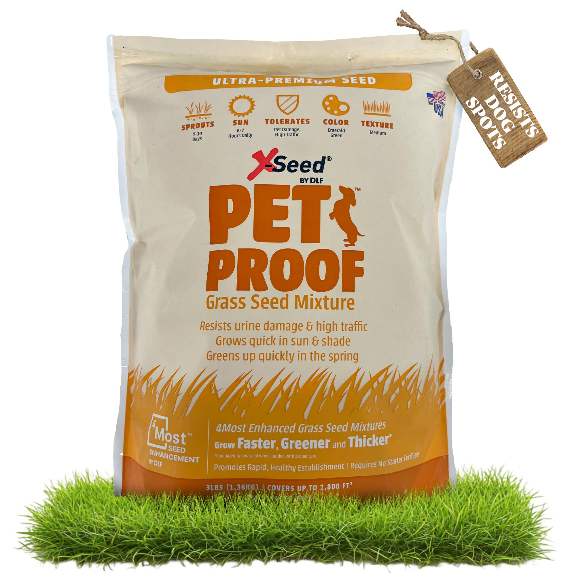 Best Grass for High Traffic Dogs And Shade: Durable, Lush Choices