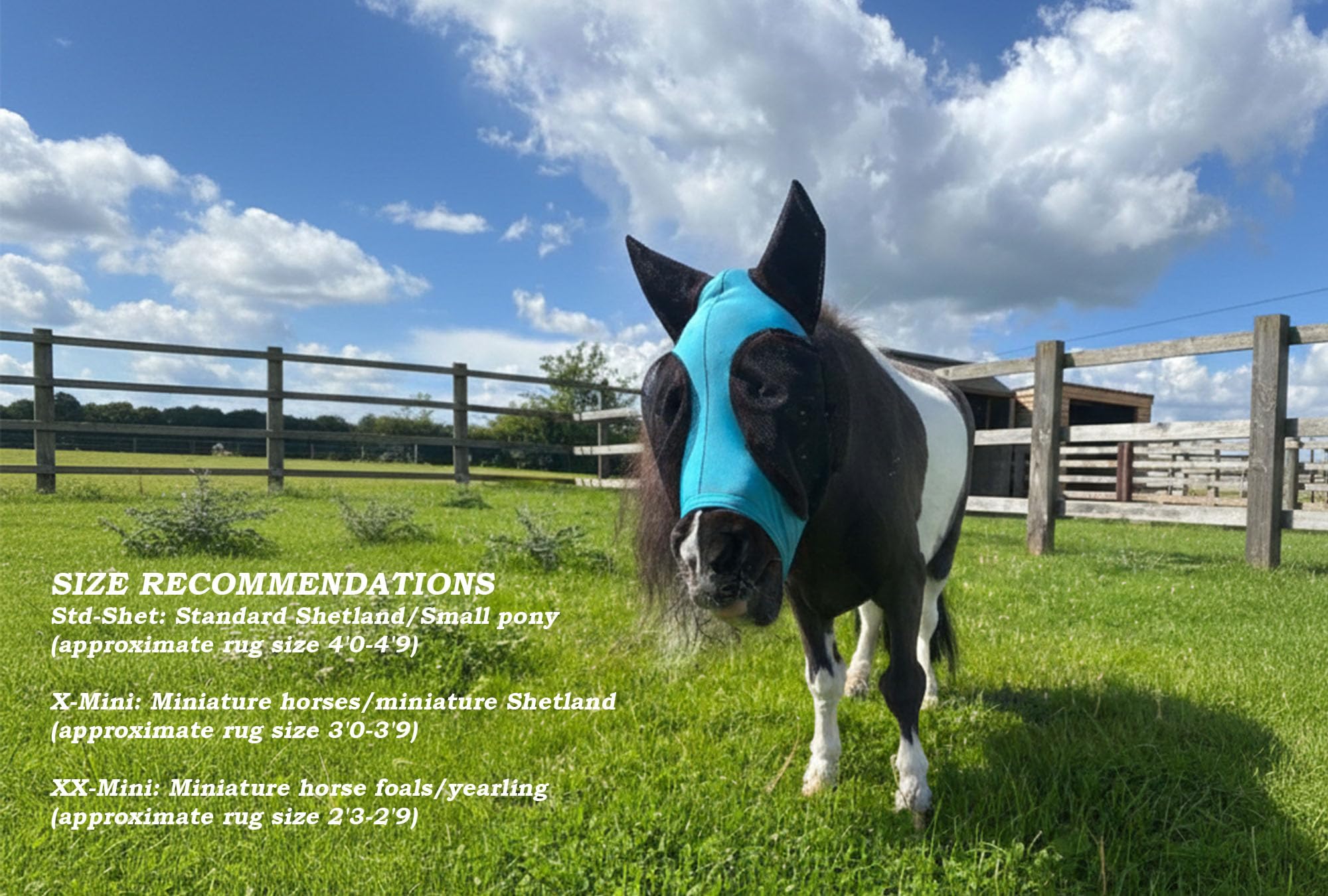 Ruggles Shetland Miniature Section A Masque Anti-mouches à Élastique Avec Oreilles Lycra Extensible Protection des Yeux Cheval Poney X-Mini Rose vif