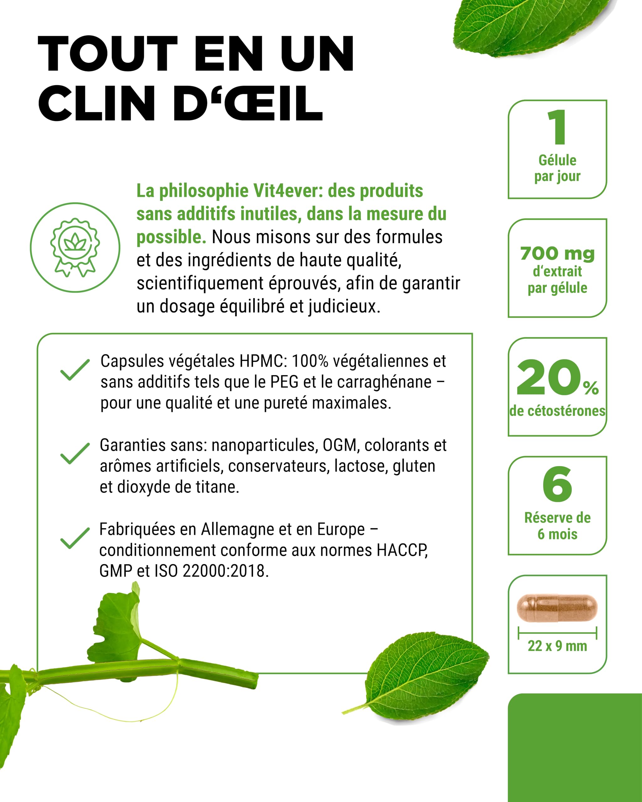 vit4ever Cissus Quadrangularis - 180 Gélules avec 700 mg d’Extrait - Premium : 20% de Cétostérones - Forte Dose - Végan