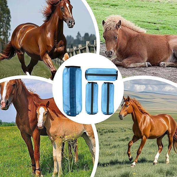 Botas para Caballos | 4 Piezas de Protectores de Pierna de Malla para Caballos - Polainas Equinas Cómodas | para Carreras, competiciones, Entrenamiento, Rancho, Granja y Patio - 4