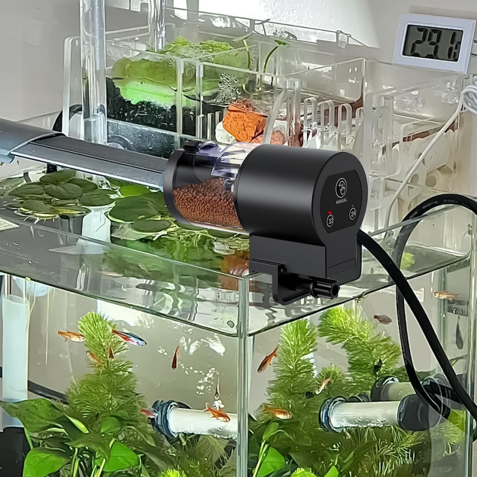 Mangiatoia Per Pesci Trasparente Con Ventosa – Anti-deriva, Grande Capacità Per Acquario E Gamberetti