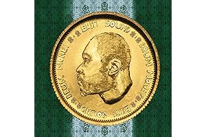 The Drums Money: A Professional-Grade Instrument for Aspiring Musicians