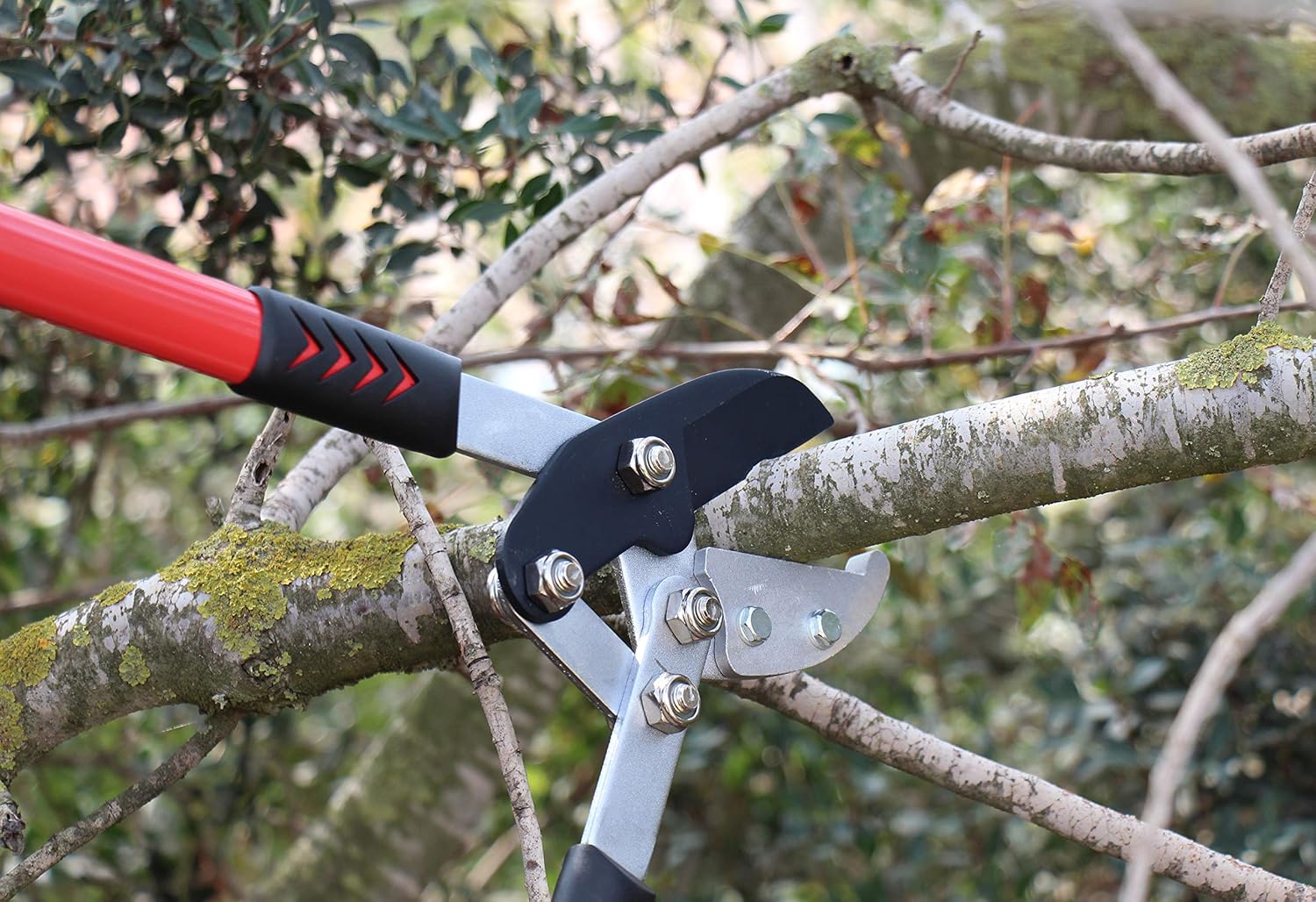 Up To 40% OFF TABOR TOOLS GG12A Anvil Lopper with Compound Action, 30 Inch Tree Trimmer, Branch Cutter with ⌀ 2 Inch Cutting Capacity, Chops Thick Branches with Ease.