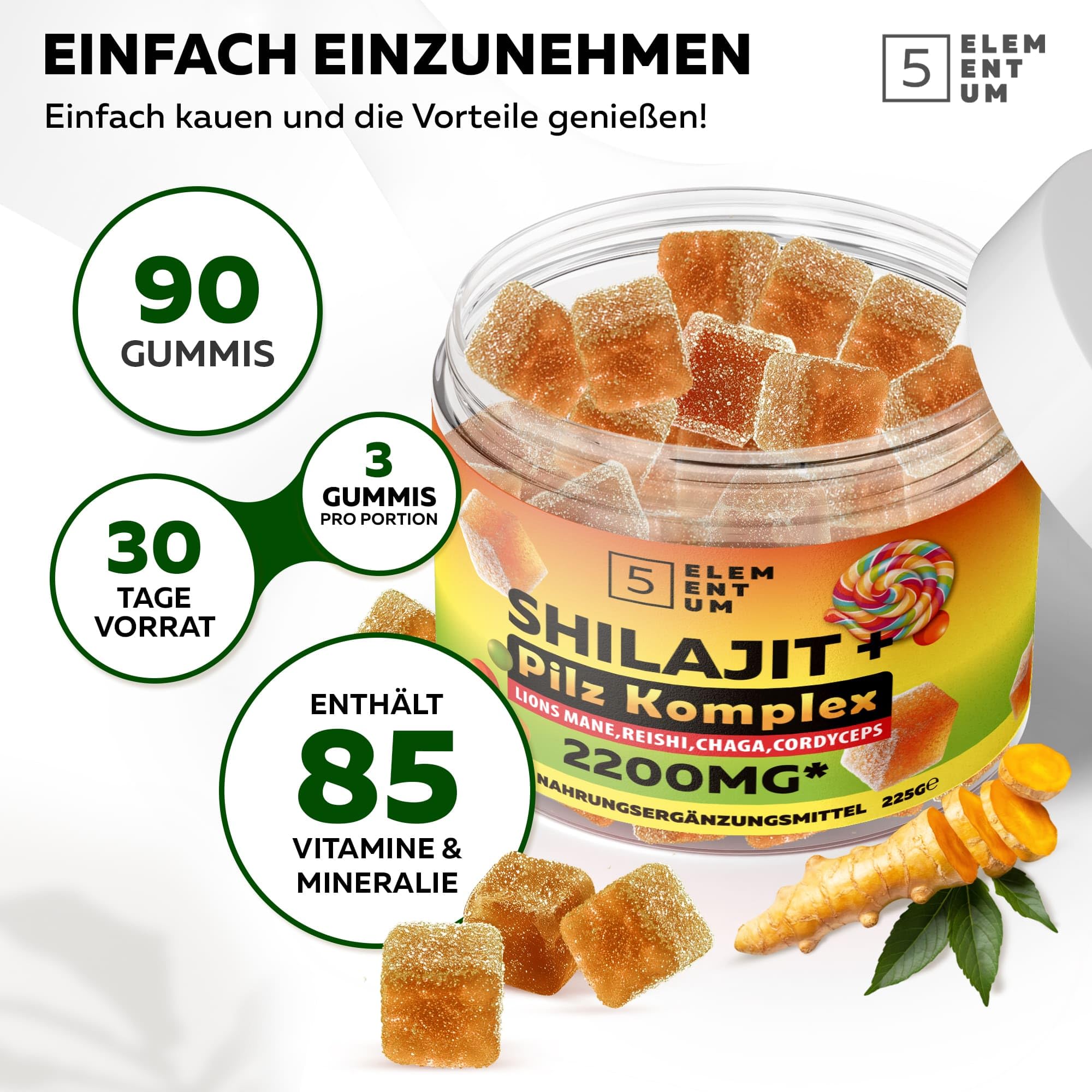 Natural Shilajit Orsetti gommosi 2200MG - Premium Himalaya Shilajit gomma con criniera di leone, Reishi, Chaga & Cordyceps - dall'Himalaya per energia e vitalità - 90 pezzi