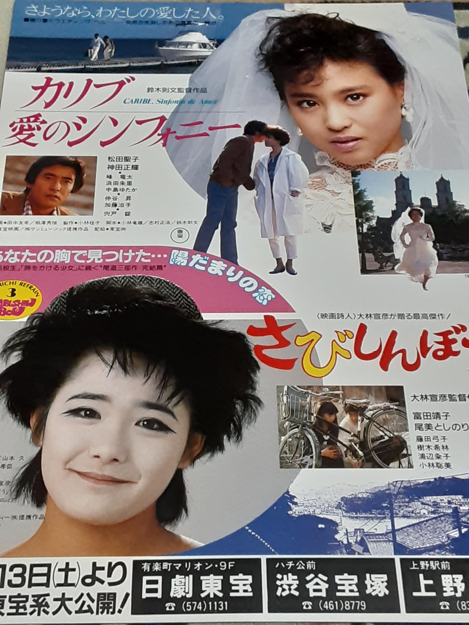 Amazon.co.jp: 映画チラシ「カリブ愛のシンフォニー/さび