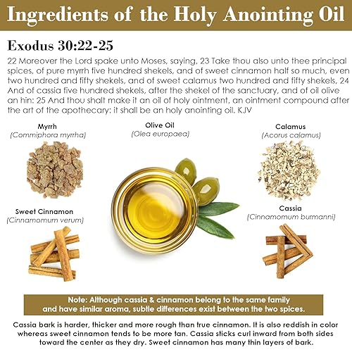 Miniatura 7 de Éxodo 3022-25 Aceite de unción sagrada y sagrada, hecho desde cero con mirra, cálamo, canela, cassia y aceite de oliva, especias de hierbas y