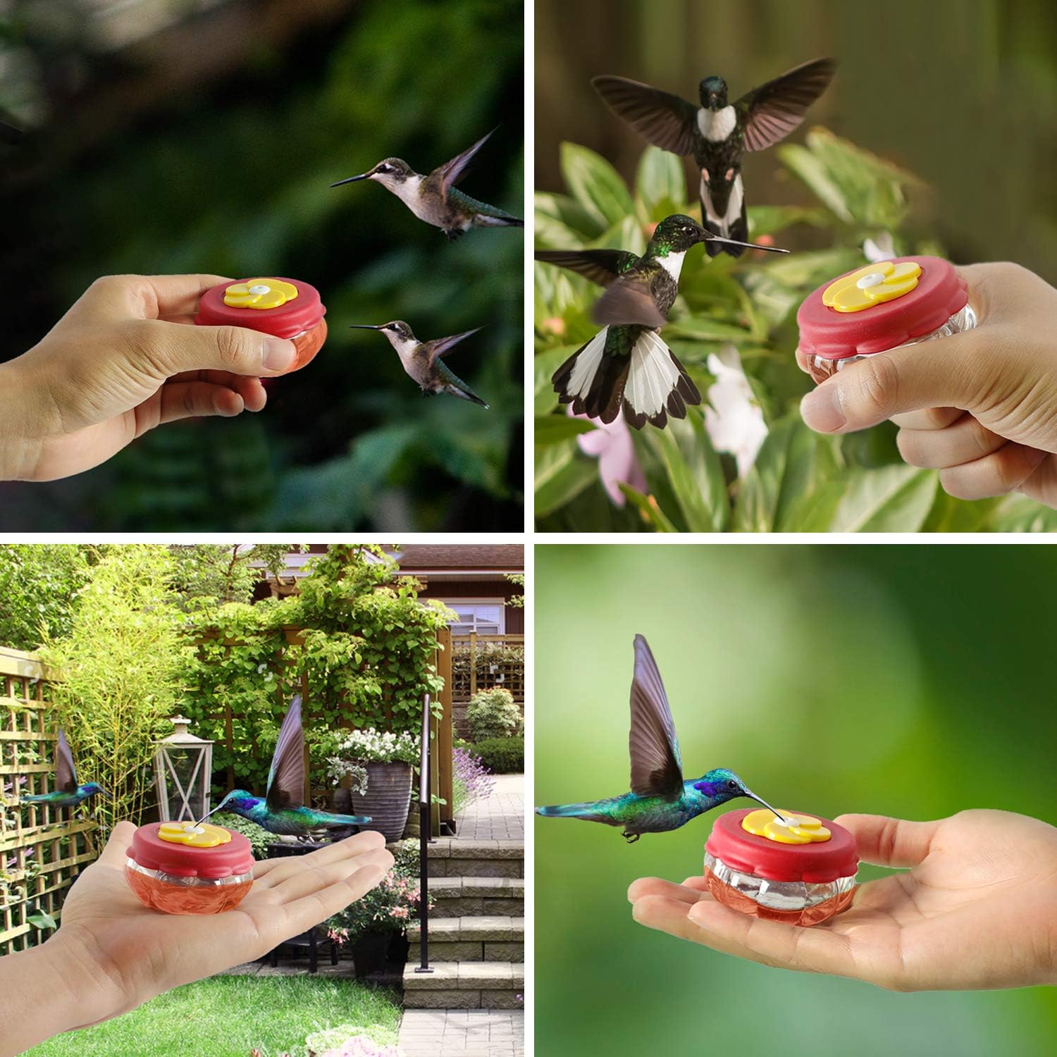 Handheld Hummingbird Feeders with 1 Window Mount Suction Cup Accessory (2 Pack)