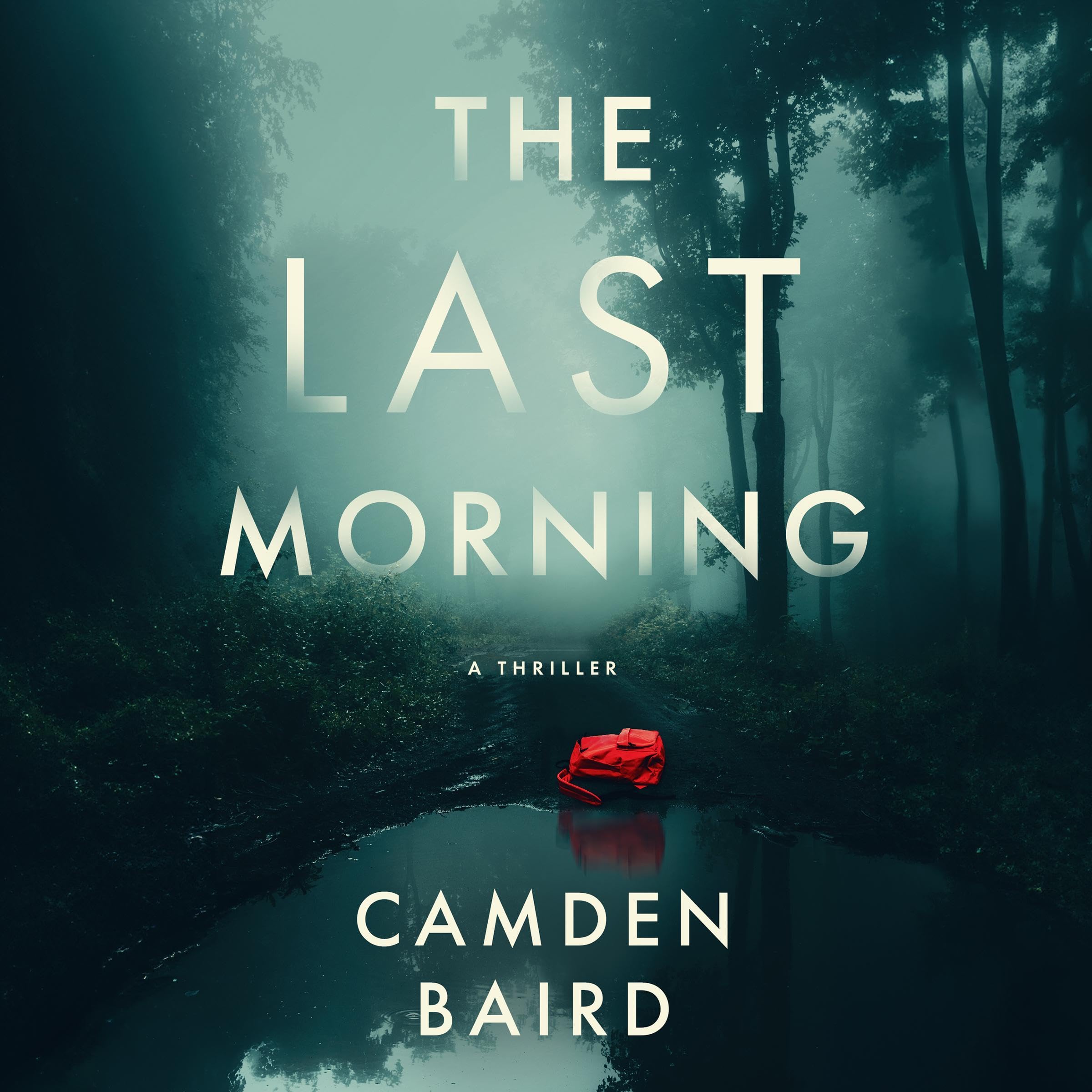 Cover art for The Last Morning