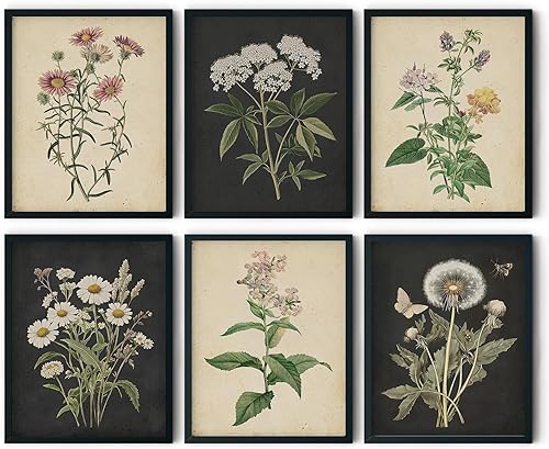 6 piezas de arte botánico vintage para pared, rústico, botánico, floral, lienzo, cuadros modernos de flores silvestres, impresiones de flores