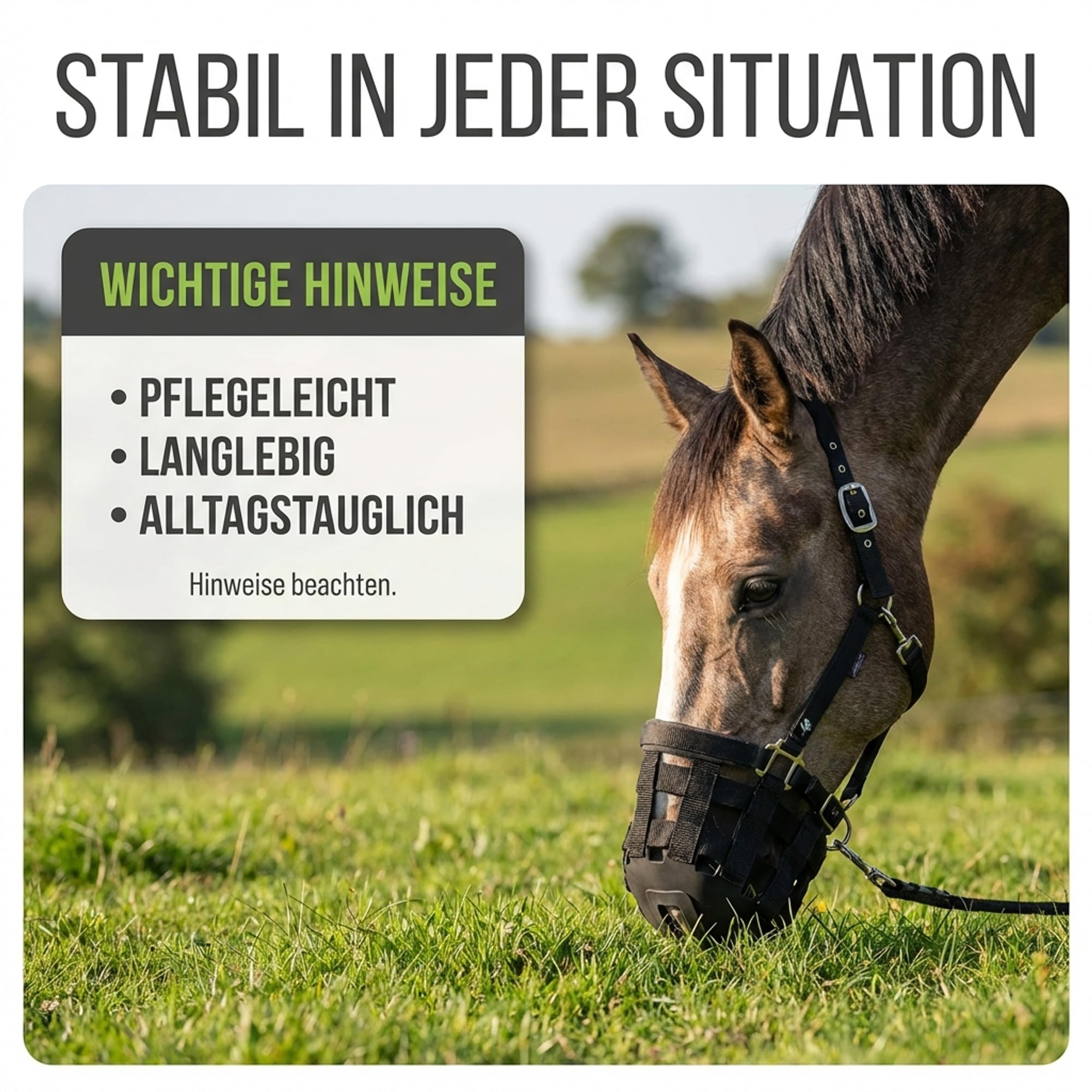 ARBO-INOX Fressbremse Weidemaske – kontrollierte Grasaufnahme – Gummi und Polypropylen, Schwarz