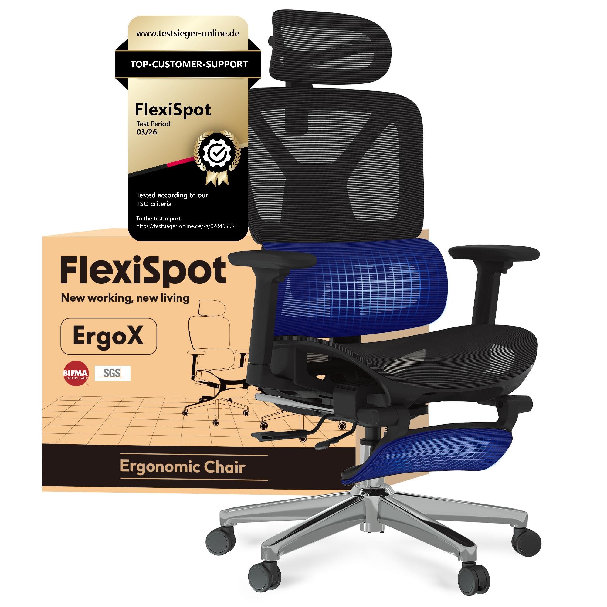 FLEXISPOT ErgoX Ergonomic Office Chair, Desk Review – Worth the Premium Price?