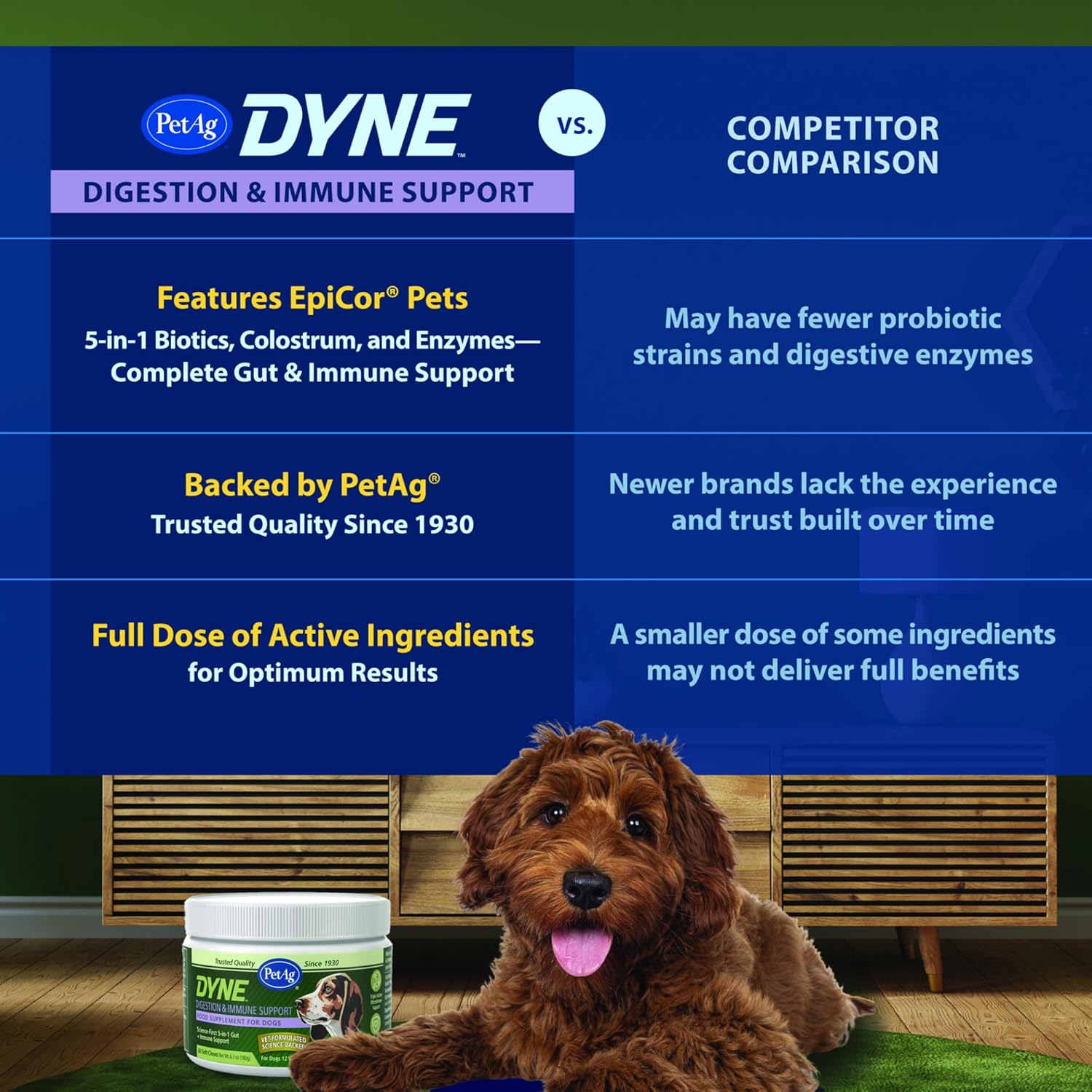 PetAg Dyne Soft Chews, Digestion & Immune Support Supplement - Vet-Formulated 5-in-1 Formula for Dogs to Strengthen Immunity, Digestion, Gut Health & Natural Antibodies - 60 Chicken Liver Flavor Chews