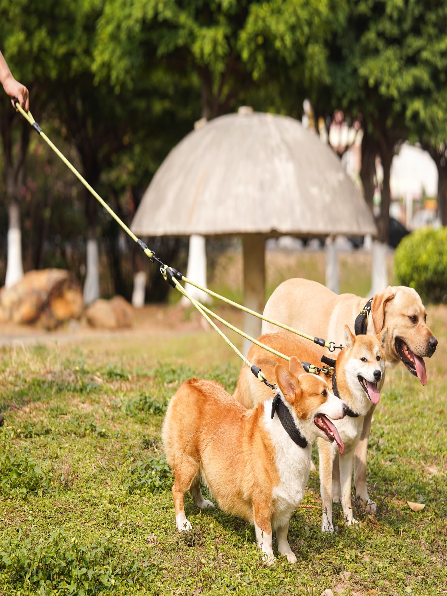 Correa para Perro 3 en 1 de Nailon Resistente con Mango Acolchado, Giro de 360 °, Cuerda de Escalada sin enredos, Cuerda de tracción extraíble para Mascotas, Correa para Perros medianos y Grandes