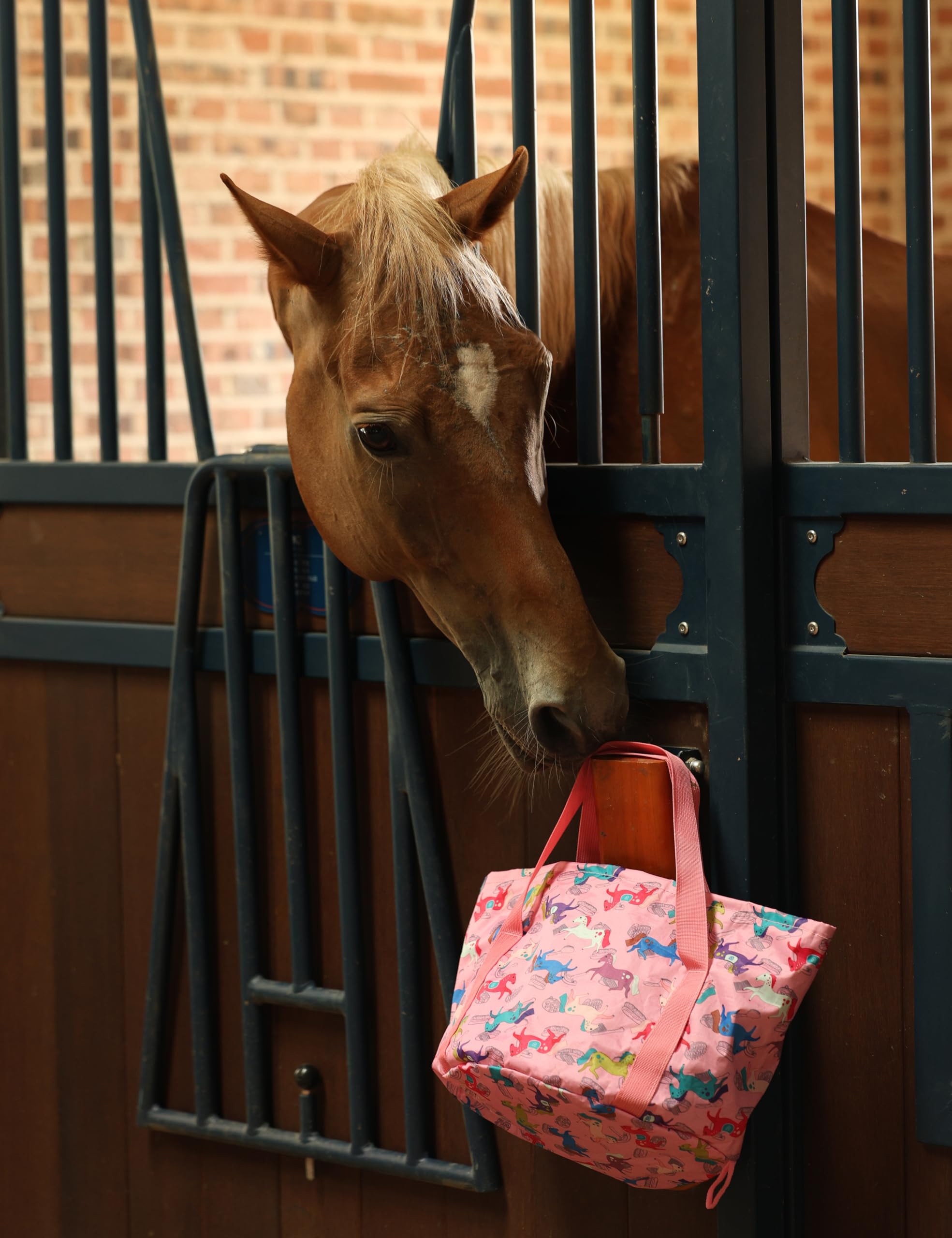 Harrison Howard Set per la cura dei cavalli, 11 pezzi, set di spazzole per la cura dei cavalli, con organizer, borsa per il trasporto, accessori per la cura della sella, strumenti per il massaggio