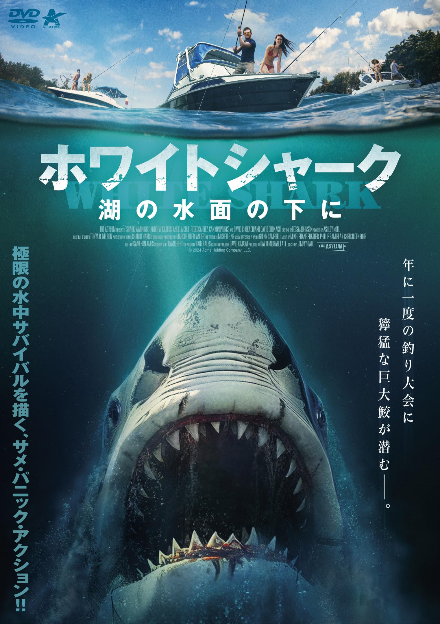 (未使用･未開封品)ホワイトシャーク [DVD] 81Djw-gWJHL.jpg