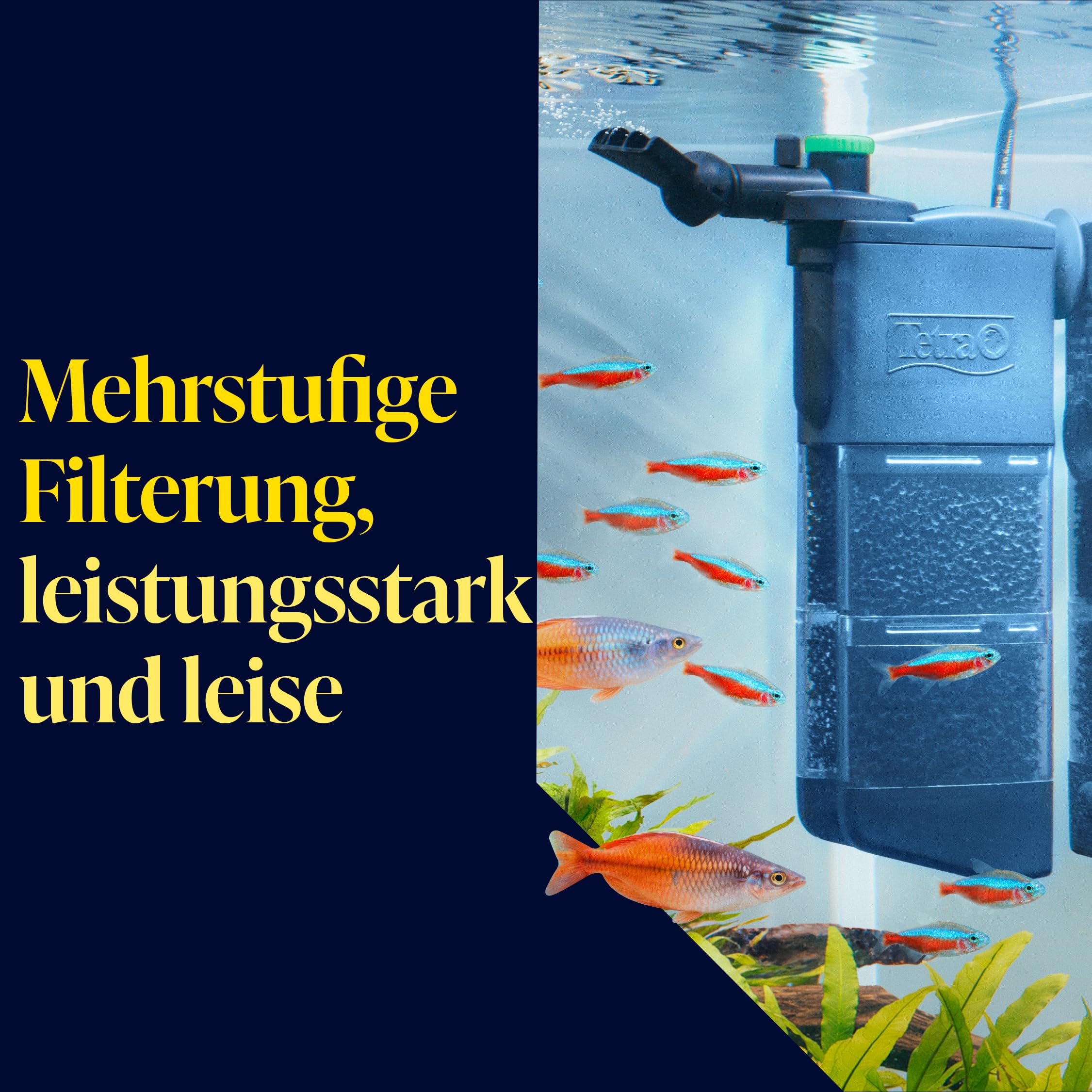 Tetra INX 250 Aquarium Innenfilter, für Aquarien mit 190 bis 250 Liter | Filter für klares und gesundes Wasser | mechanische und biologische Filterung | leistungsstark und leise