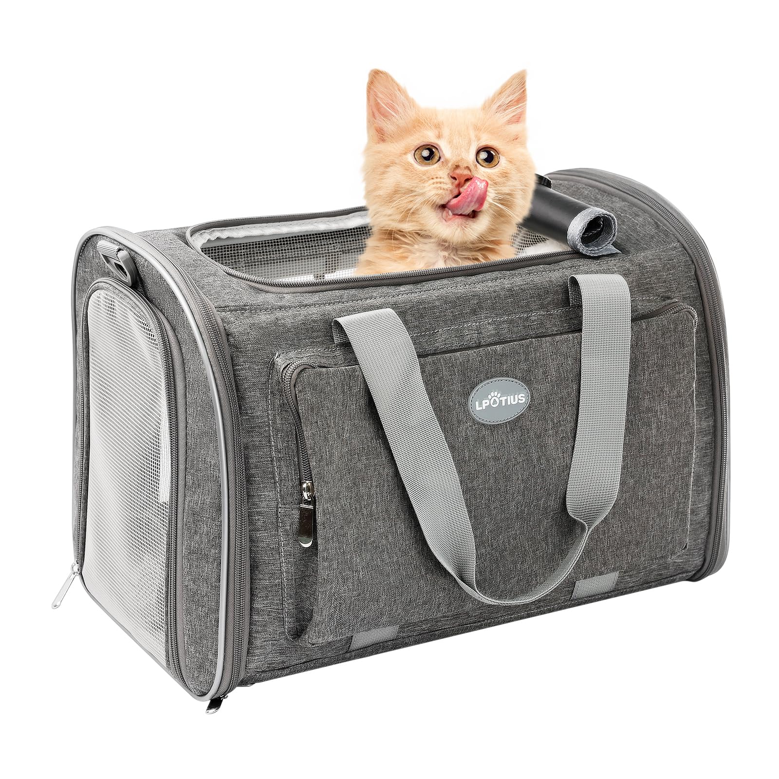 Transporttasche für Katzen, Tragetaschen für Hunde, atmungsaktiv und faltbar, Transportbox für Katzen mit verstellbarem Schultergurt (Grau)