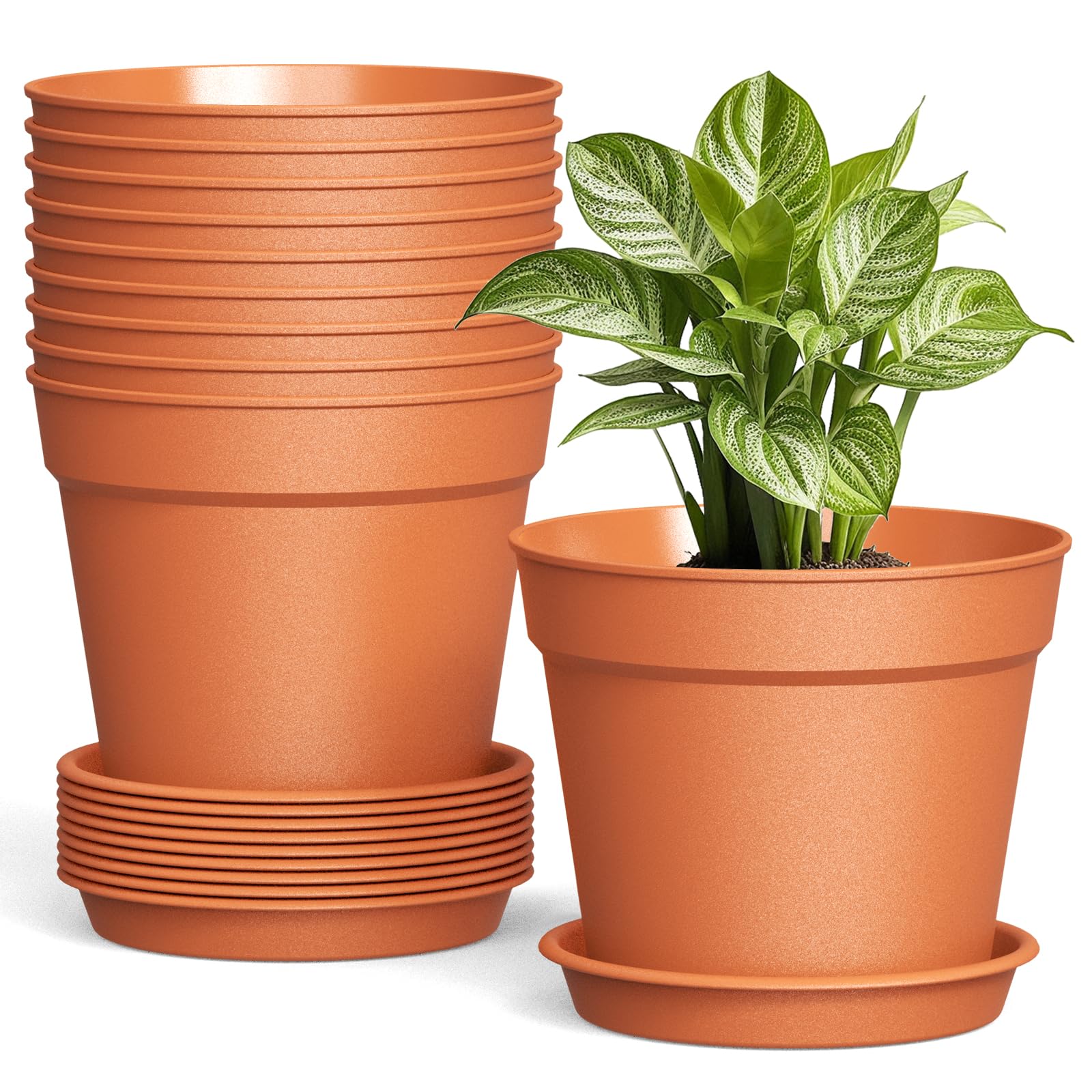 SwinDuck 10 Pack 6 Inch Terracotta Pots