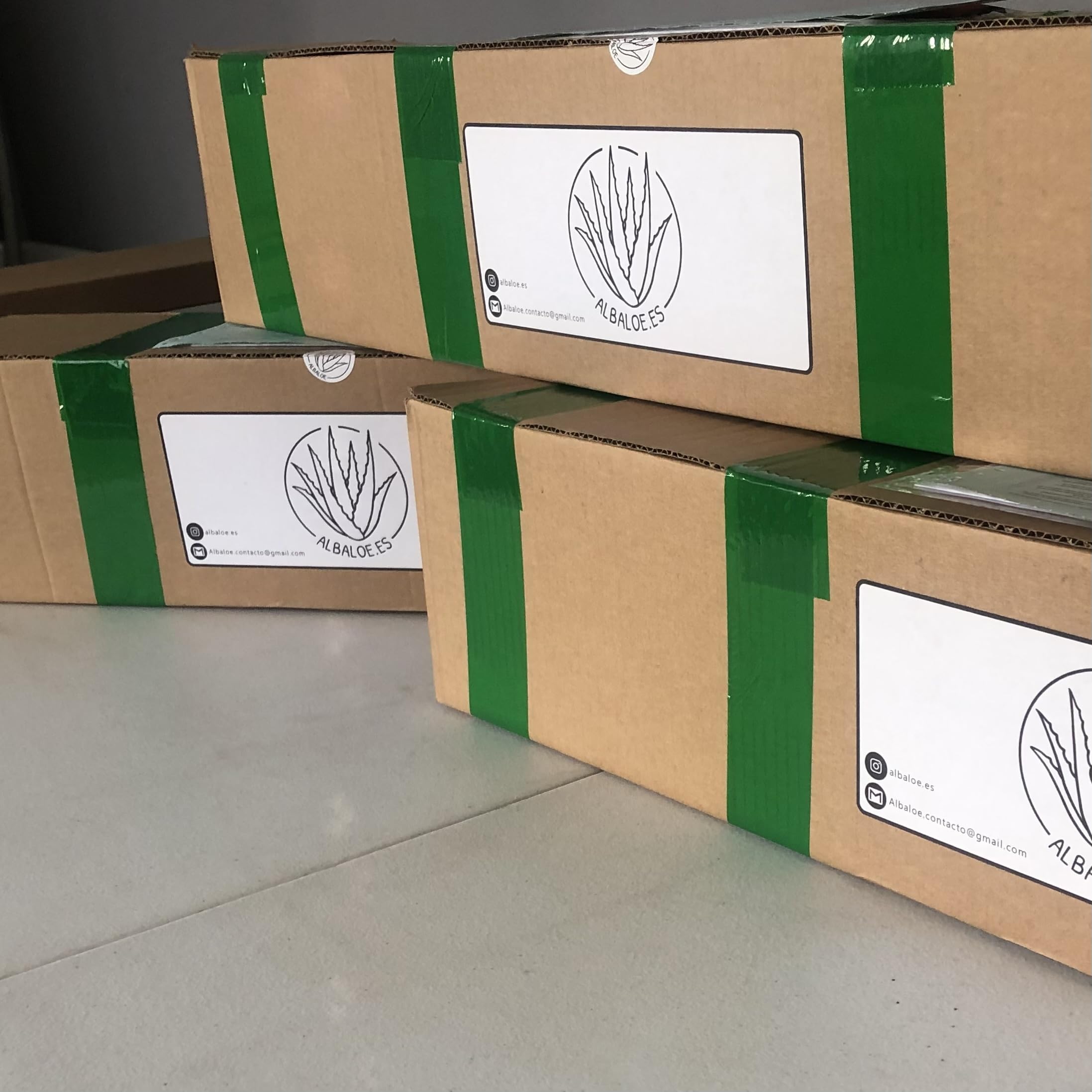 Hoja de Aloe Vera Fresca Natural Gel Ecologico certificado (3)