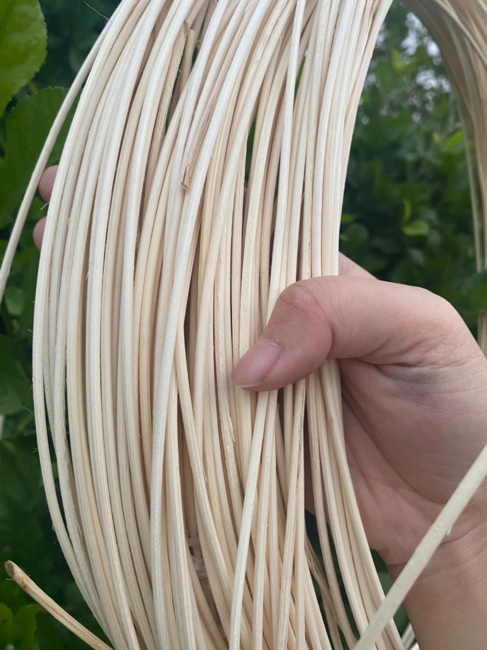 AM Caning Store Cane Mesh Weaving Bamboo core for Furnishing (3 mm, 1kg)-picture-15