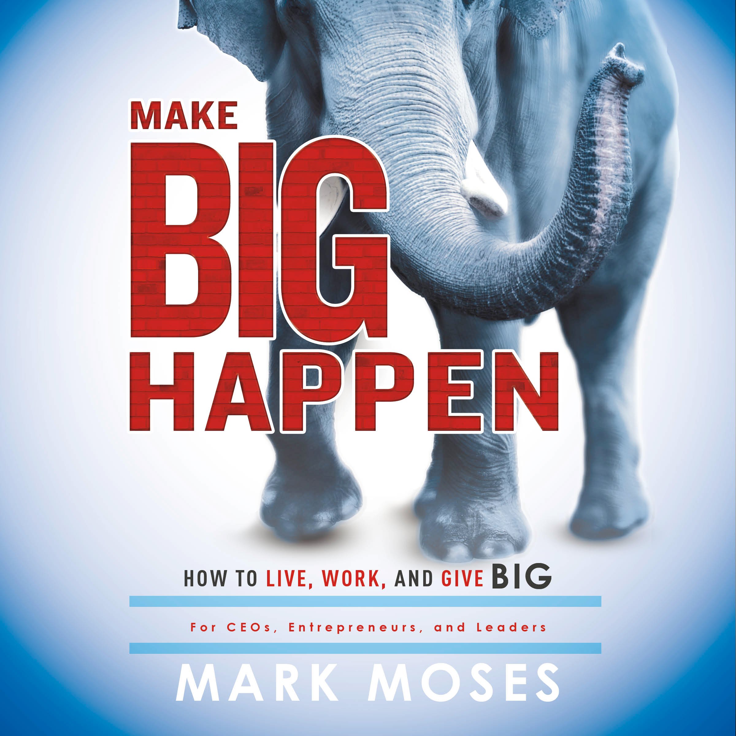 Cover art for Make Big Happen