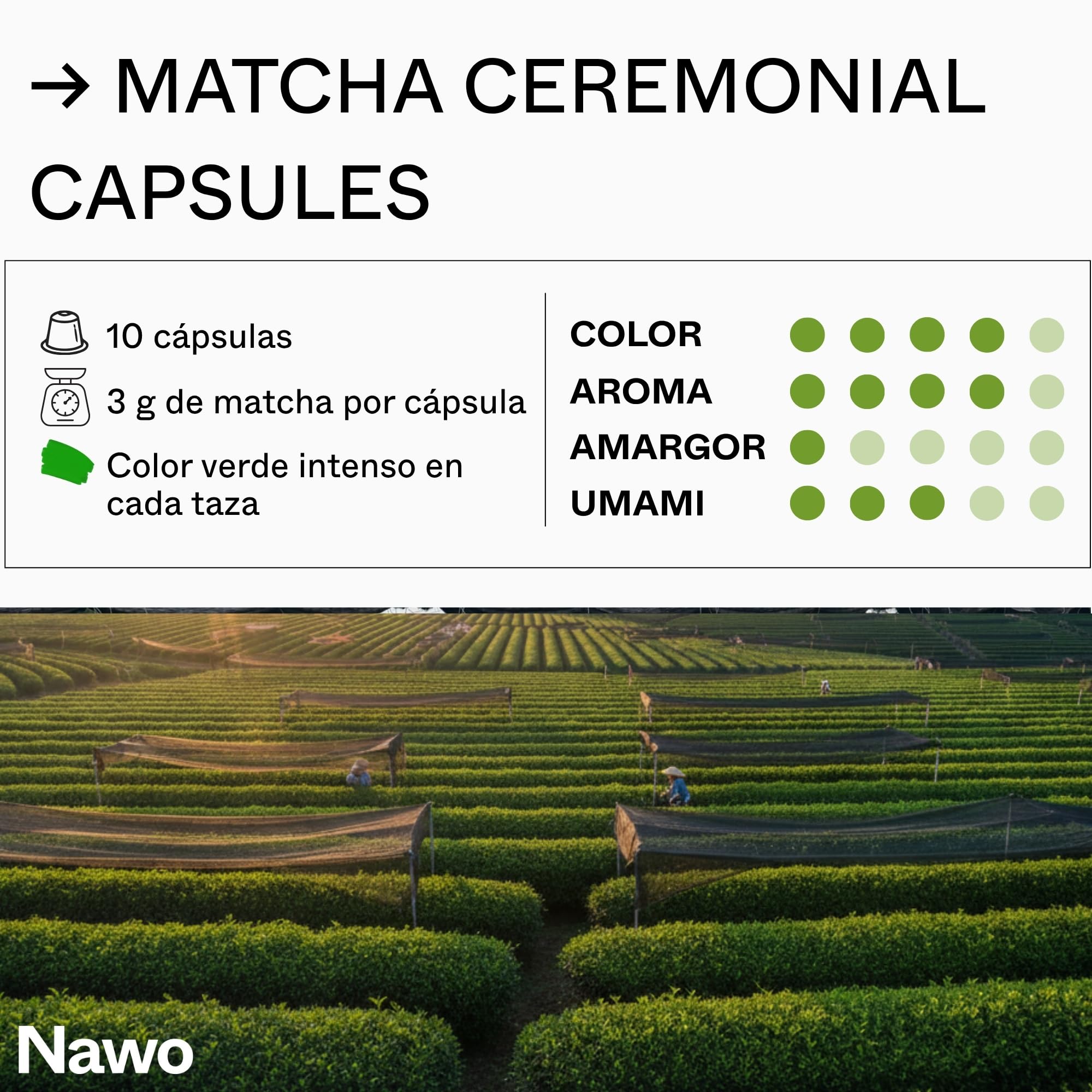10 Cápsulas de Té Matcha Ceremonial – Compatibles con Nespresso®, 100% Natural, Té Verde en Polvo, Ideal para Matcha Latte, Sin Azúcares Añadidos ni Conservantes – NAWO® Matcha