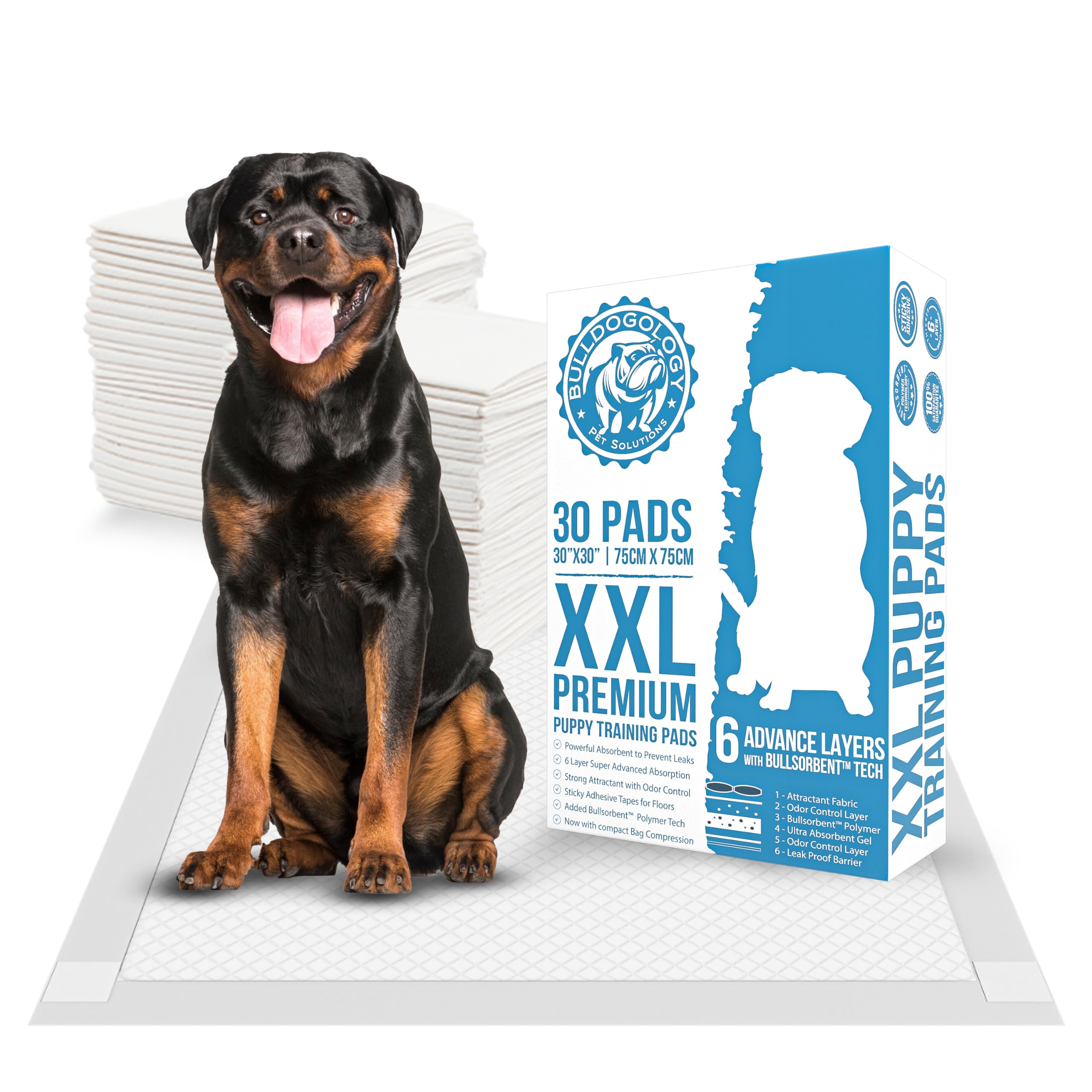 Tapis d'urinage XXL Bulldogology fini les fuites et sols mouillés