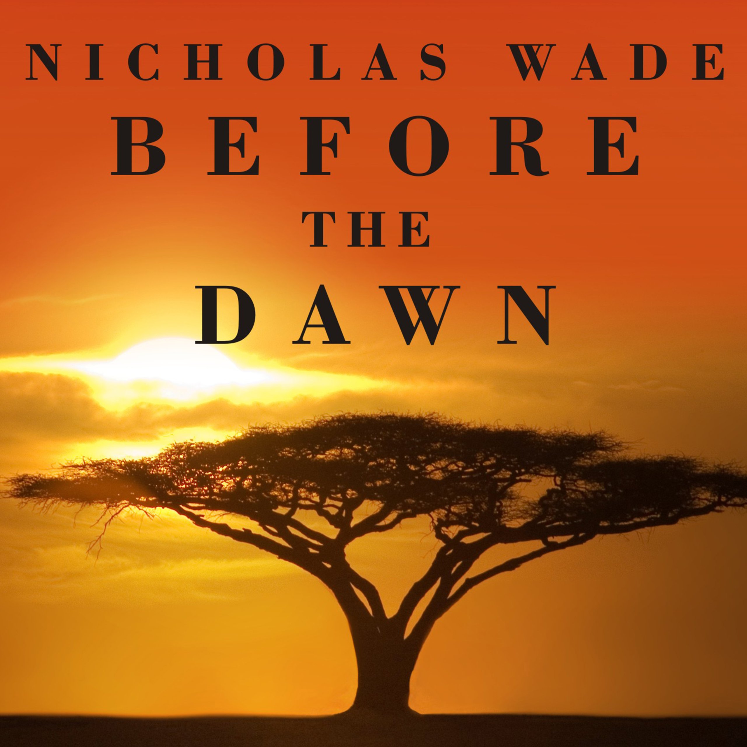 Cover art for Before the Dawn