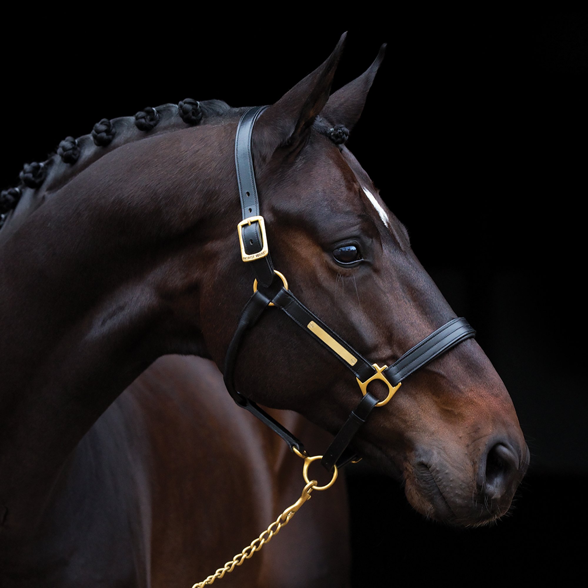Amigo Padded Headcollar - Pferde Halfter Pony Brown