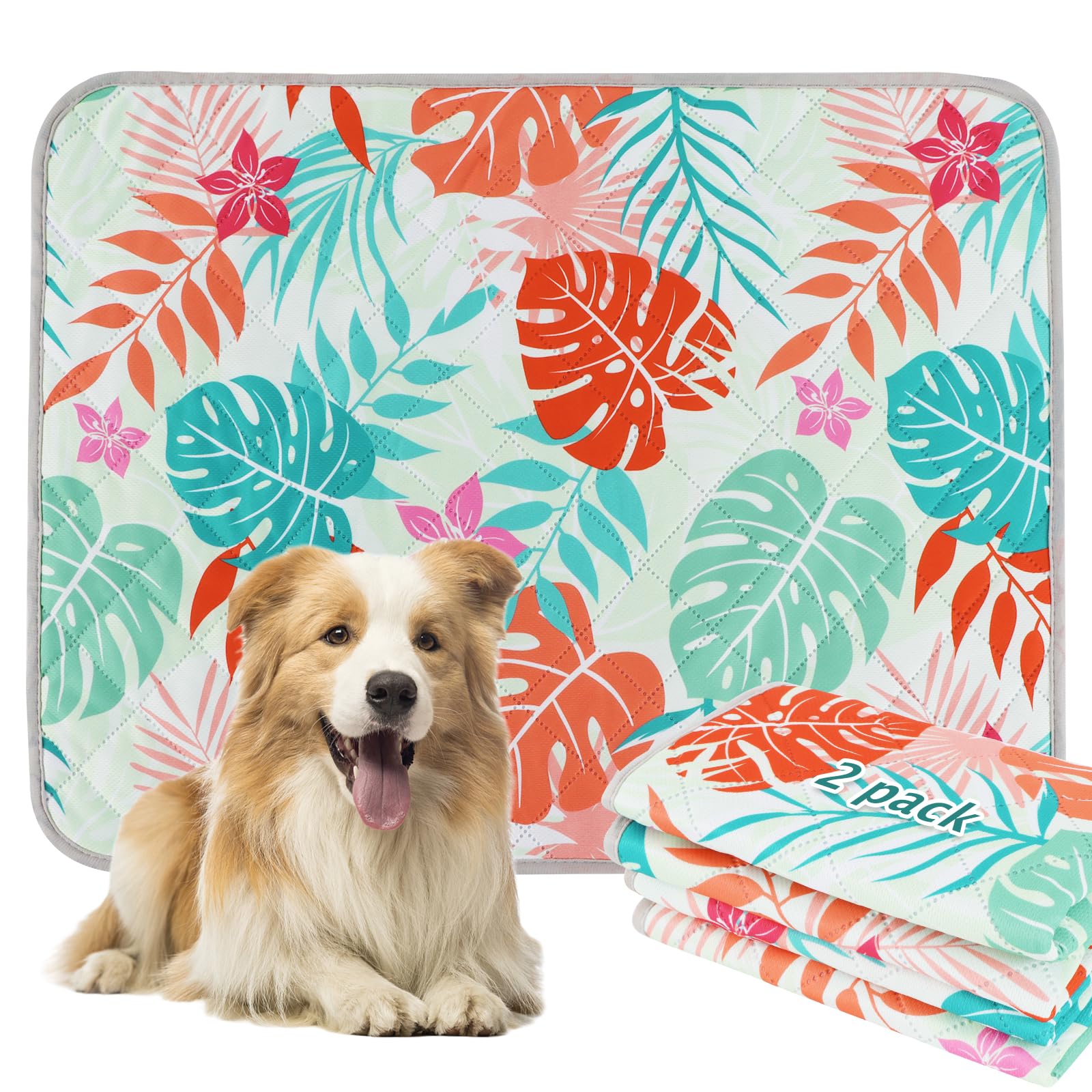 BVAGSS Washable Pee Pads for Dogs, 2 Pack Absorbent & Non-Slip Waterproof Green Palm Leaves Reusable Pee Pads (36x48 Inch) โ image 1