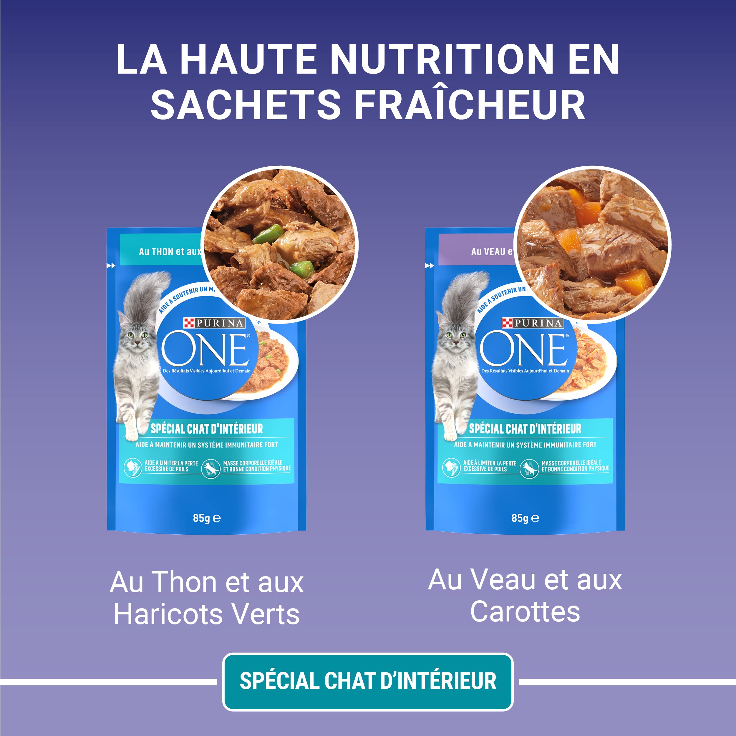 PURINA ONE | BIFENSIS | Spécial Chat Stérilisé d'Intérieur | Effilés en Sauce | Aide à contrôler le poids, et limiter la perte excessive de poils | Thon, Veau | Sachets Fraîcheur | Lot de 12 (4 x 85g)