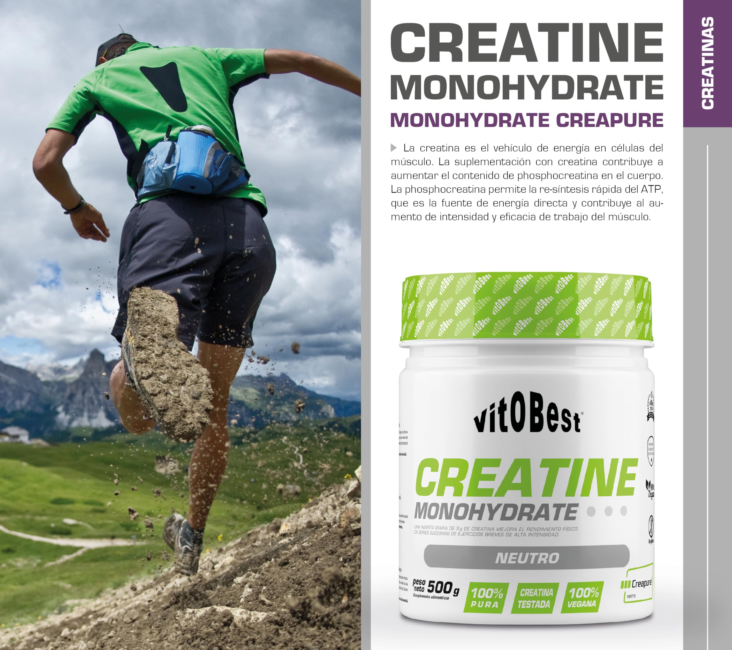 VITOBEST | Creatina Monohidrato (Creapure®) | Una ingesta diaria de 3 g mejora el rendimiento en series sucesivas de ejercicios breves de alta intensidad | Sabor Neutro - 500 g