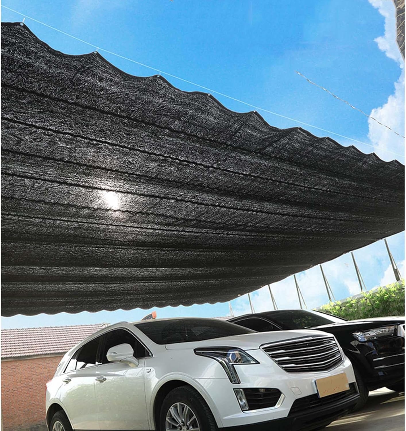 Shade Netting 2x4/2x5/3x3/3x5/4x6m, Greenhouse Shade Net with Grommets, Outdoor Plant Protection Cover, Shade Sail, Awning, 50% Sunblock Shade Cloth,Black-4x6m(13 * 19.7ft)