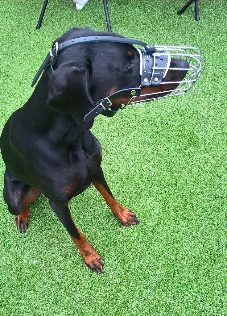 Sterke hondenmuilkorf van metaaldraad voor dobermann, mechelaar en andere honden - België