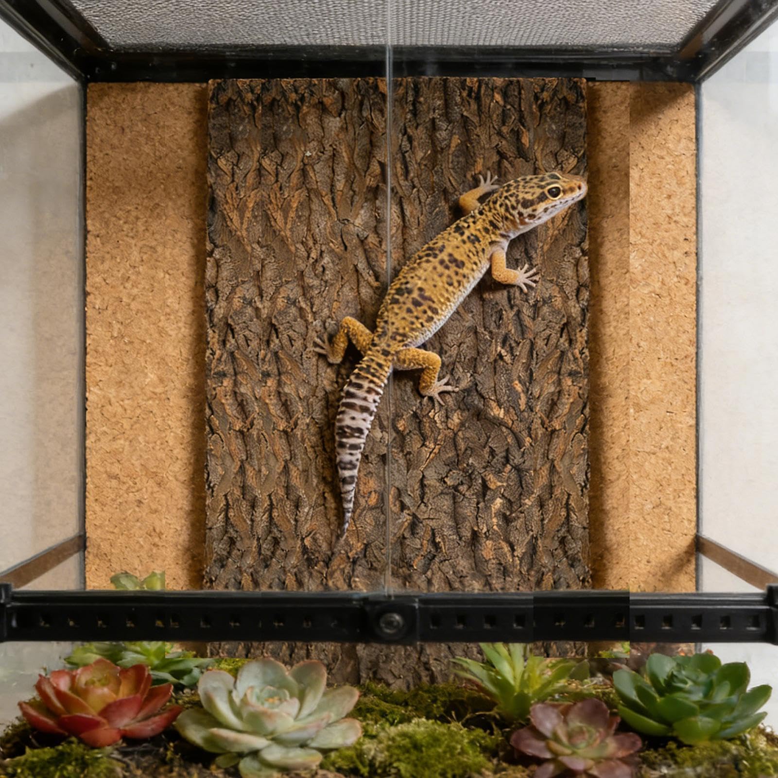 Madera de corcho para reptiles, decoración de paisajismo para ejercicios de escalada, decoración de terrario natural, corteza de corcho, para serpiente, , camaleón, , tortuga, amantes de