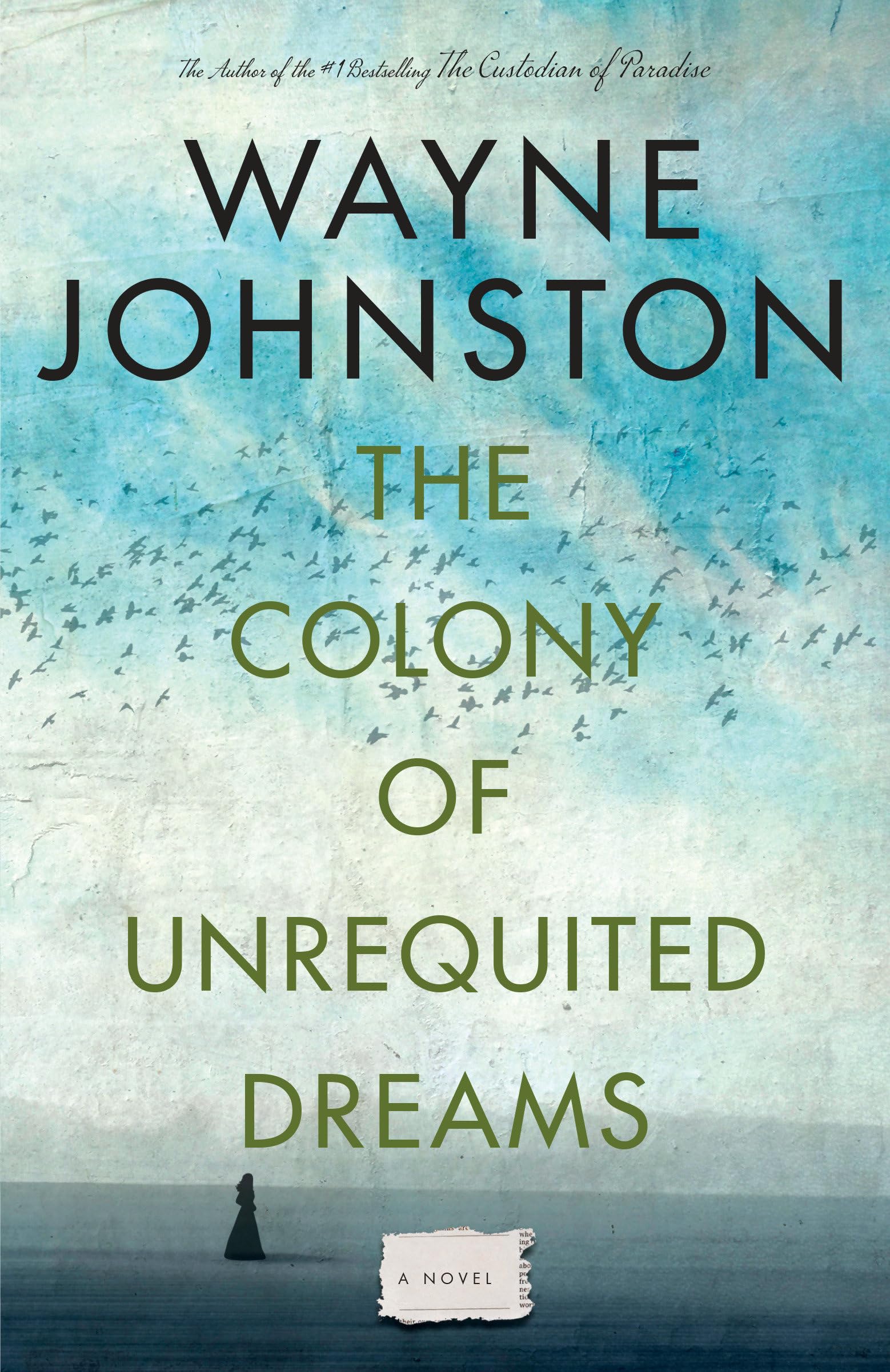 Buy The Colony Of Unrequited Dreams โ BookShops.in