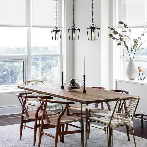 Miniatura 3 de Lámpara colgante al aire libre para porche, luz colgante negra con vidrio transparente, moderna jaula de metal de granja, cadena ajustable para