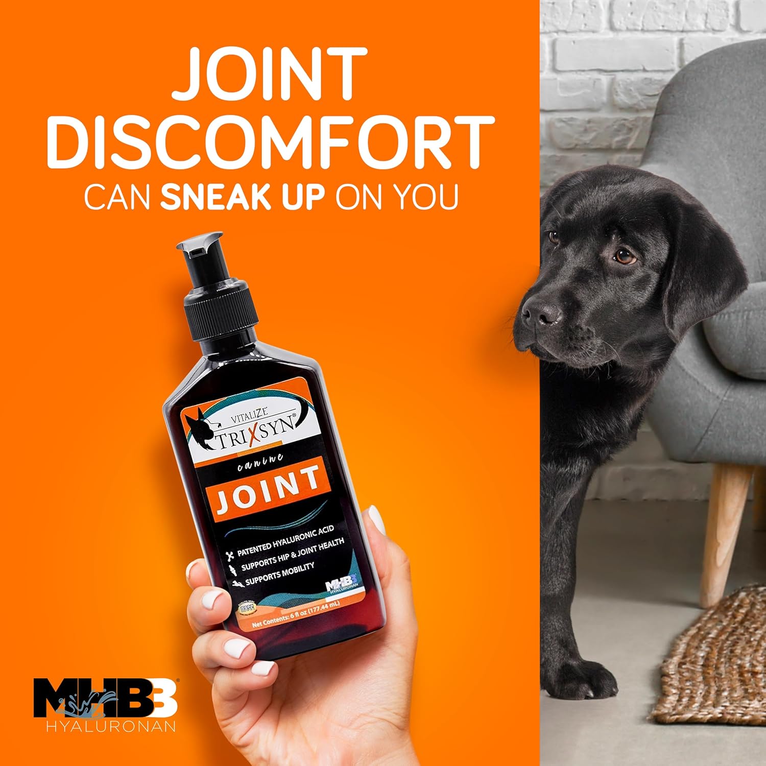 Canine - Dog Hip and Joint Supplement - Liquid Hyaluronic Acid HA for Dog - Patented Liquid Formula for Senior Dogs - MHB3 Hylauronan - 6 fl oz