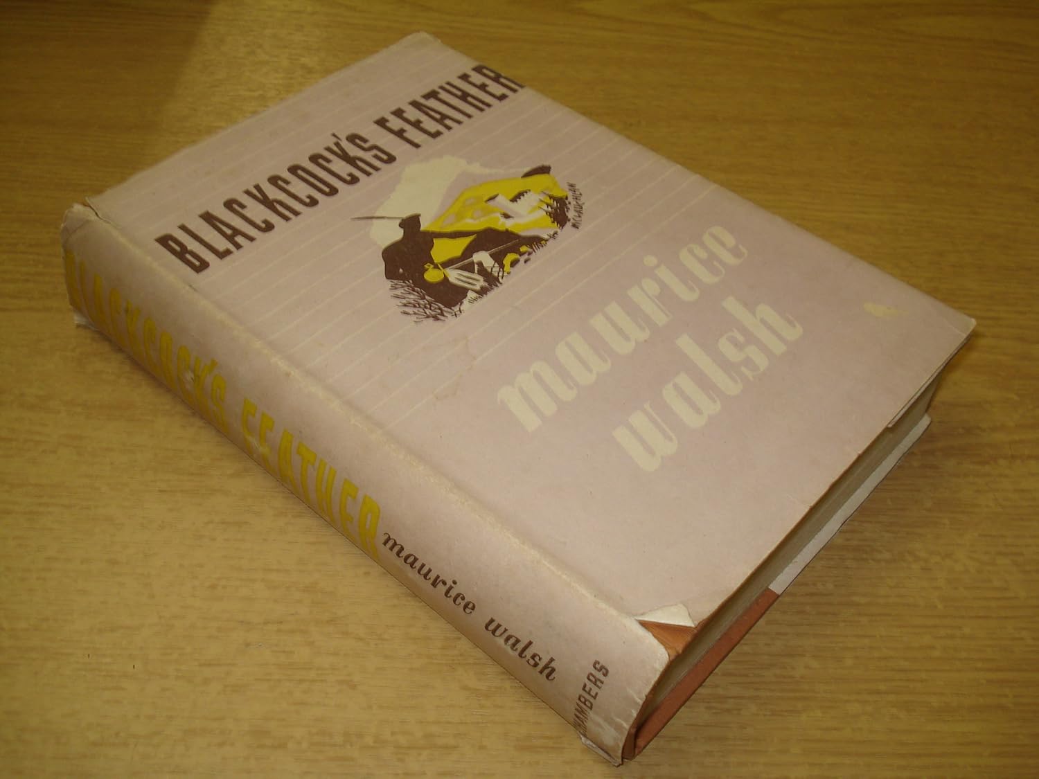 Blackcock's Feather Amazon.co.uk Maurice Walsh Books