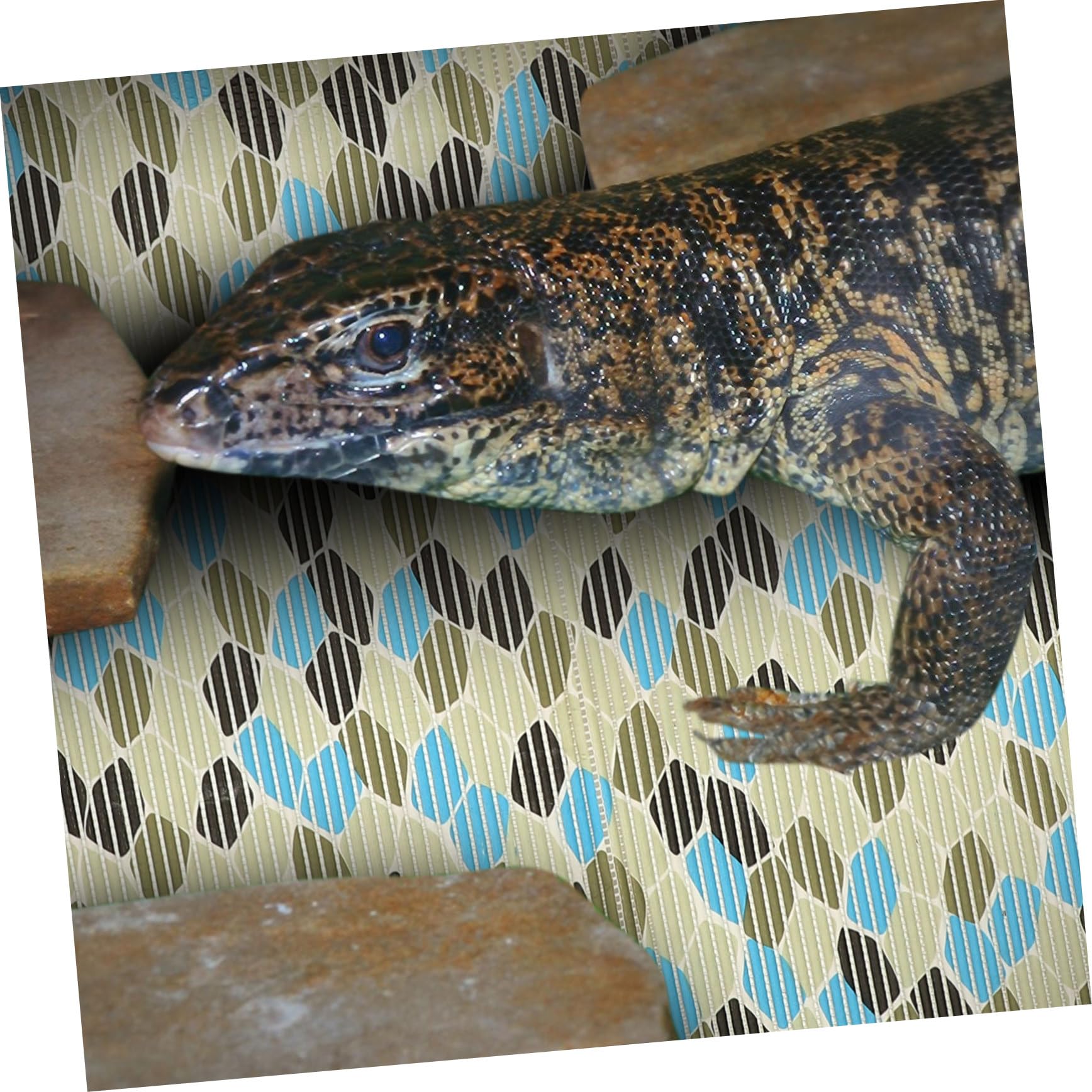 Tappeto Terrario Rettili Riutilizzabile in Poliestere | Tartarughe e Serpenti, Formato per Terrari e Gabbie, Accessori per Terrario Rettili