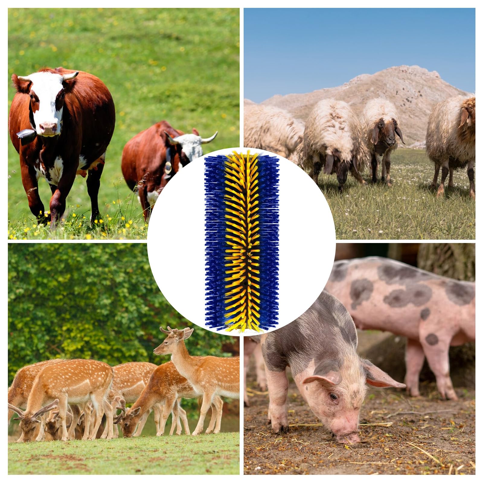 2 Brosses à Gratter pour Bétail, Grattoir universel pour Cheval, Brosse de Massage Complet pour Cheval Chèvre Vaches Moutons Cochons Bétail (Bleu et Or)