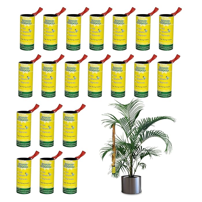 Buy Enposmre 20 Pack Fly Traps for Indoors/Outdoor, Effective Paper