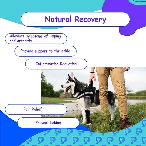 Miniatura 5 de Soporte de hockey de pierna trasera para perro, soporte de articulación canina para lesiones, artritis, ACL, alivio del dolor. Envoltura de
